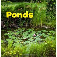 Bodies Of Water: Ponds