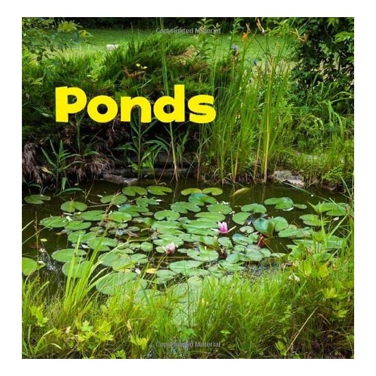 Bodies Of Water: Ponds