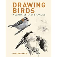 Drawing Birds A Complete Step-By-Step Guide