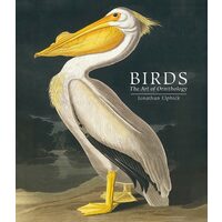 Birds: The Art Of Ornithology (Pocket Edition)