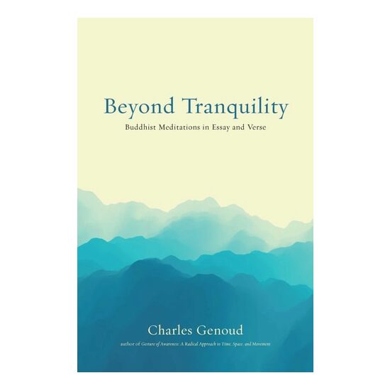 Beyond Tranquility: Buddhist Meditations In Essay(...) - Imagine 1