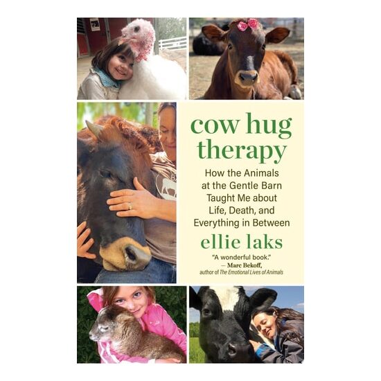Cow Hug Therapy - Imagine 1