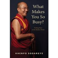What Makes You So Busy?: Finding Peace In The Mode(...)