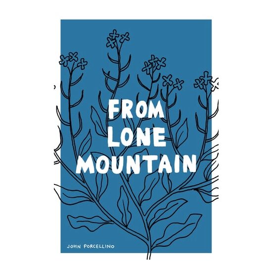 From Lone Mountain
