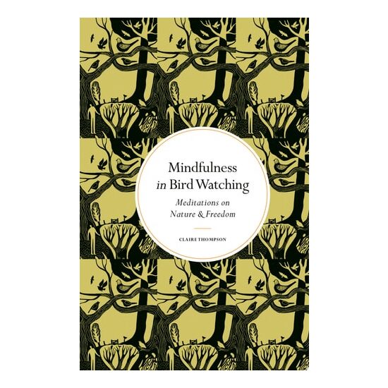 Mindfulness In Bird Watching