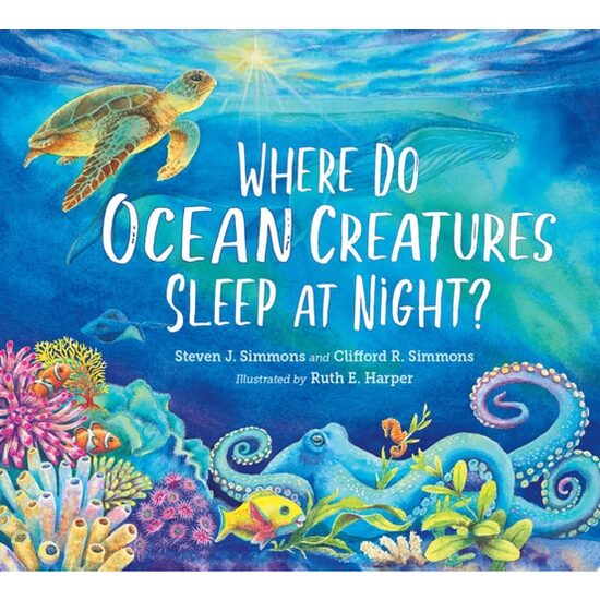 Where Do Ocean Creatures Sleep At Night?