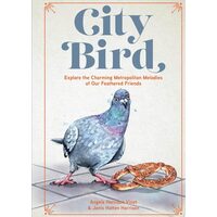 City Bird