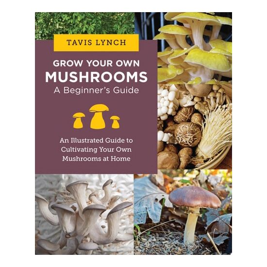 Grow Your Own Mushrooms: A Beginner's Guide