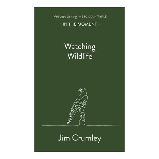 Watching Wildlife (In The Moment)