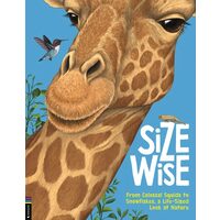 Size Wise