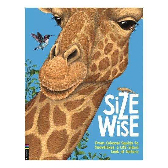Size Wise - Imagine 1