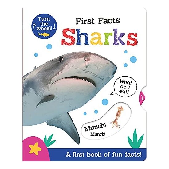 First Facts Sharks