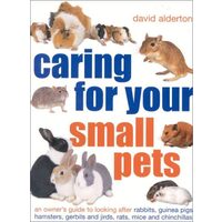 Caring for Small Pets