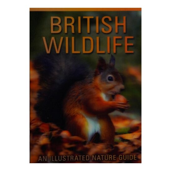 British Wildlife - Imagine 1