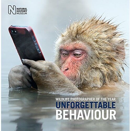Wildlife Photographer of the Year Unforgettable Behaviour