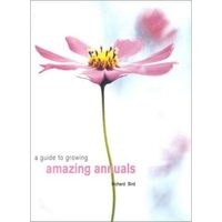A Guide to Growing Amazing Annuals