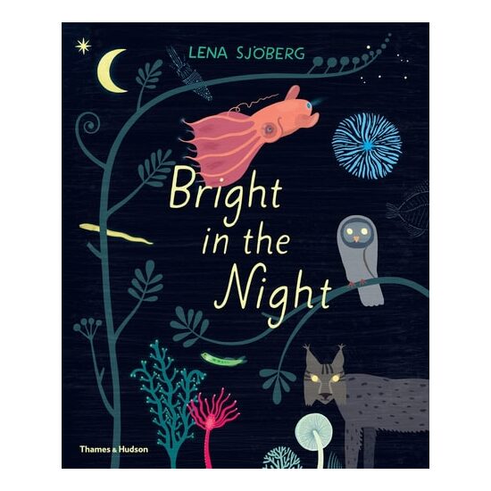 Bright In The Night