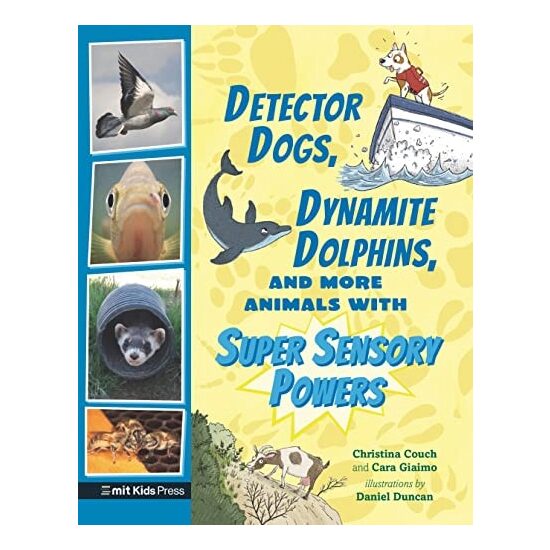Detector Dogs, Dynamite Dolphins & More Animals With Super Sensory Powers - Imagine 1