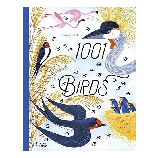 1001 Birds - Imagine 1