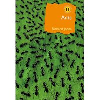 Ants: The ultimate social insects (British Wildlife Collection) 