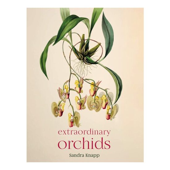 Extraordinary Orchids - Imagine 1