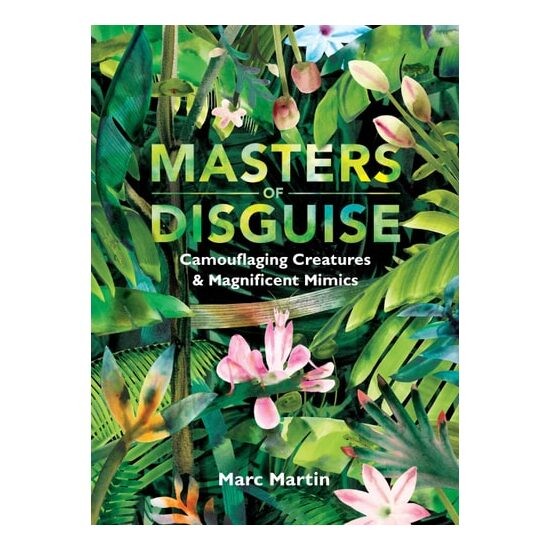 Masters Of Disguise - Imagine 1