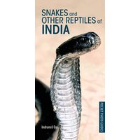 Snakes And Other Reptiles Of India