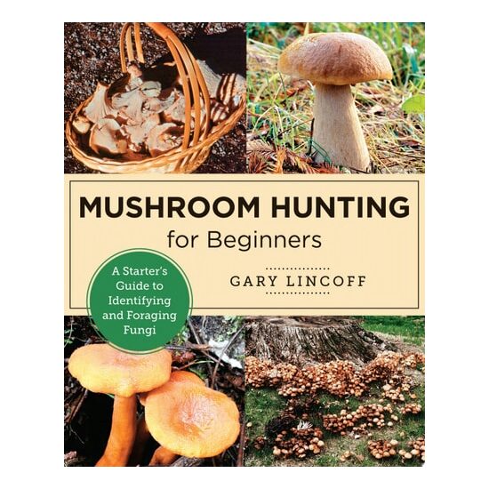 Mushroom Hunting For Beginners /9780760383926
