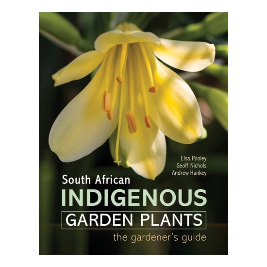 South African Indigenous Garden Plants - The Garde(...)