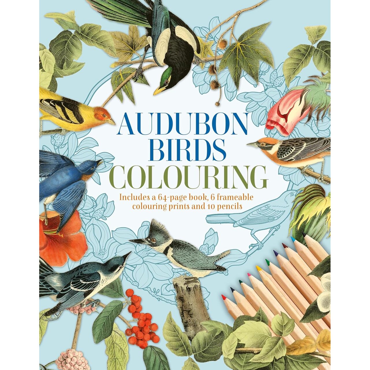Audubon Birds Colouring Kit
