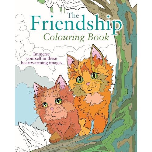 The Friendship Colouring Book