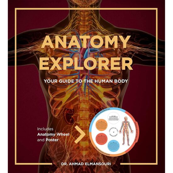 Anatomy Explorer - Your Guide to the Human Body - Imagine 1
