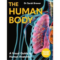 Human Body