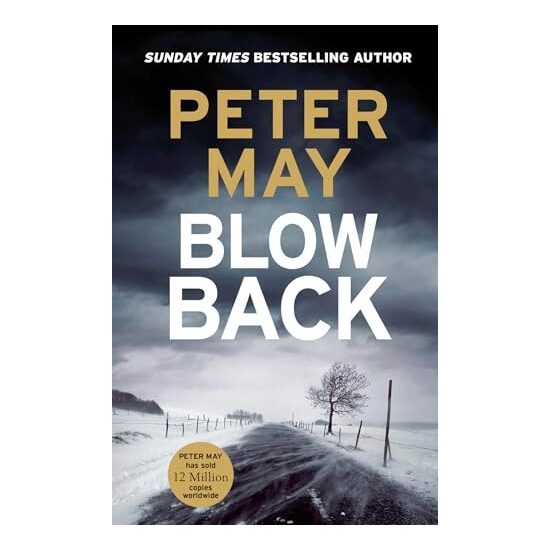 Blowback The Exciting Penultimate Case in the Addictive Crime Series (the Enzo Files Book 5)