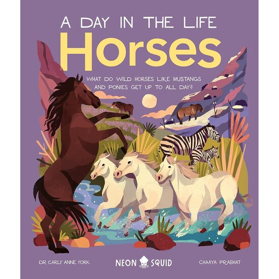 Horses (a Day in the Life) What Do Wild Horses Like Mustangs and Ponies Get Up to All Day?