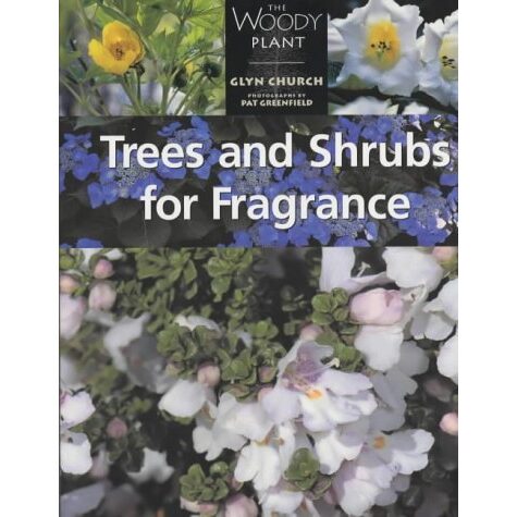 Trees and Shrubs for Fragrance - Imagine 1