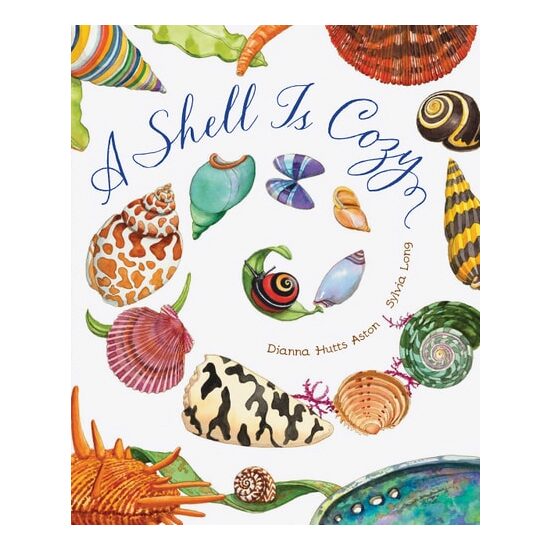 A Shell Is Cozy - Imagine 1