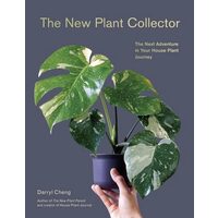 The New Plant Collector The Next Adventure in Your House Plant Journey