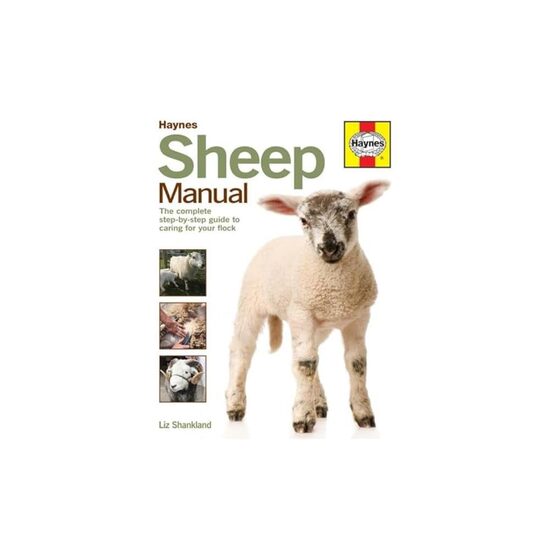 Sheep Manual: The complete step-by-step guide to caring for your flock - Imagine 1