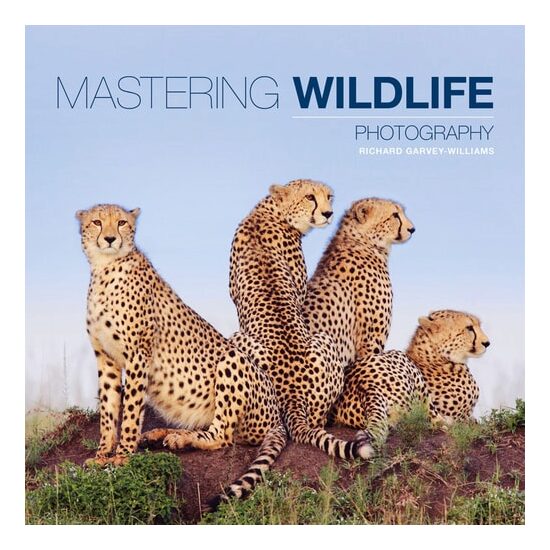 Mastering Wildlife Photography - Imagine 1