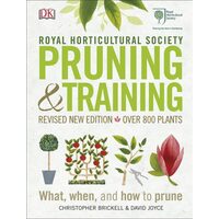 Pruning & Training
