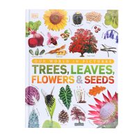 Our World in Pictures: Trees, Leaves, Flowers & Seeds: A visual ...