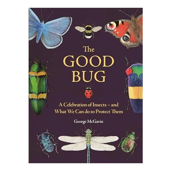 The Good Bug A Celebration of Insects (and What We Can Do to Protect Them)