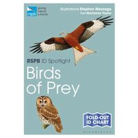 RSPB ID Spotlight - Birds of Prey
