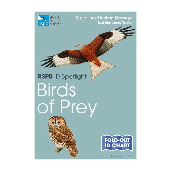 RSPB ID Spotlight - Birds of Prey