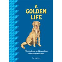 A Golden Life What to Know and Love about the Golden Retriever
