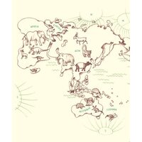Genius Noses A Curious Animal Compendium