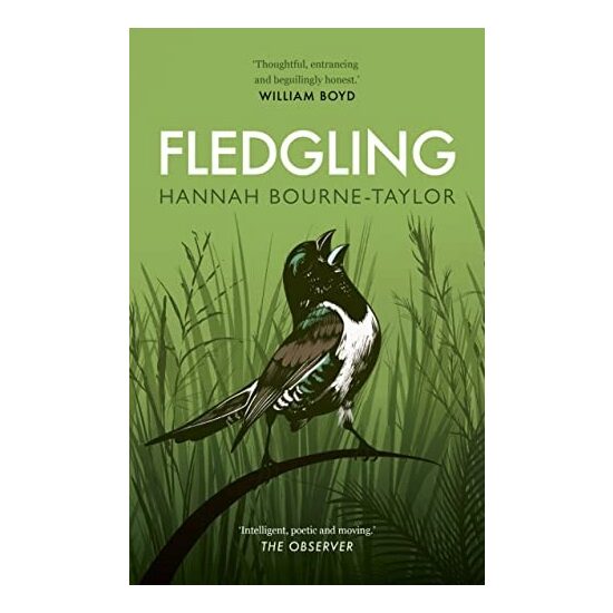 Fledgling - Imagine 1