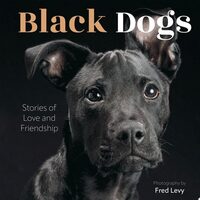 Black Dogs Stories of Love and Friendship