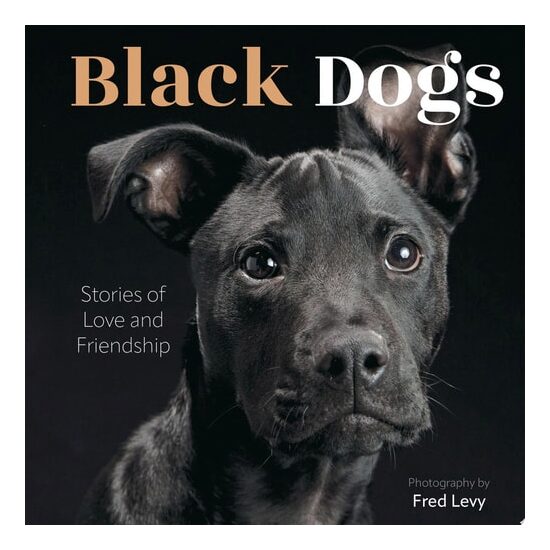 Black Dogs Stories of Love and Friendship